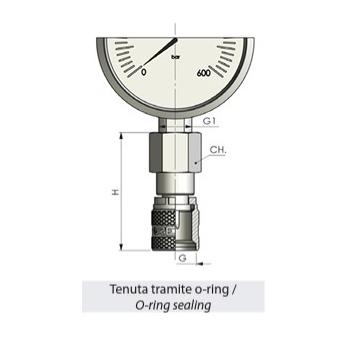 Gauge coupling (direct) - BSP Swivel female - M16x2.0 Swivel female