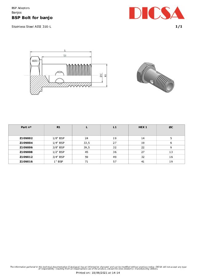 Banjobolt BSP - AISI 316L