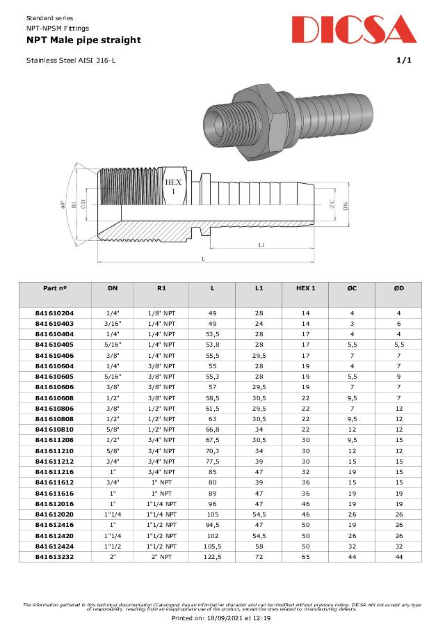 NPT Indstik  - AISI 316L